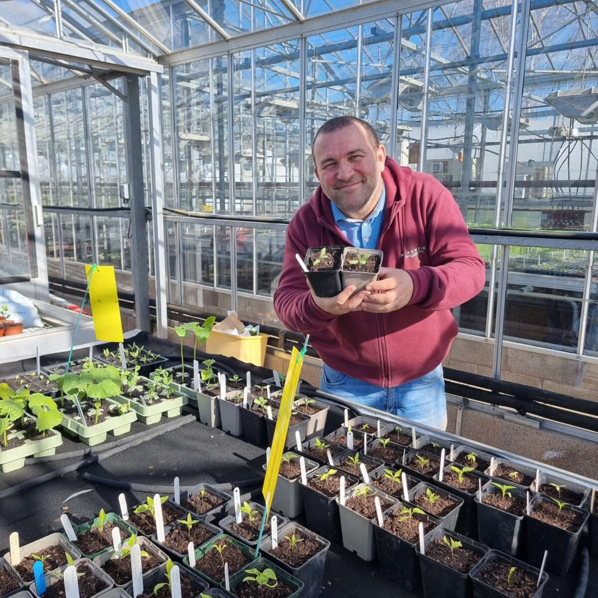 Chris Collins holding young seedlings