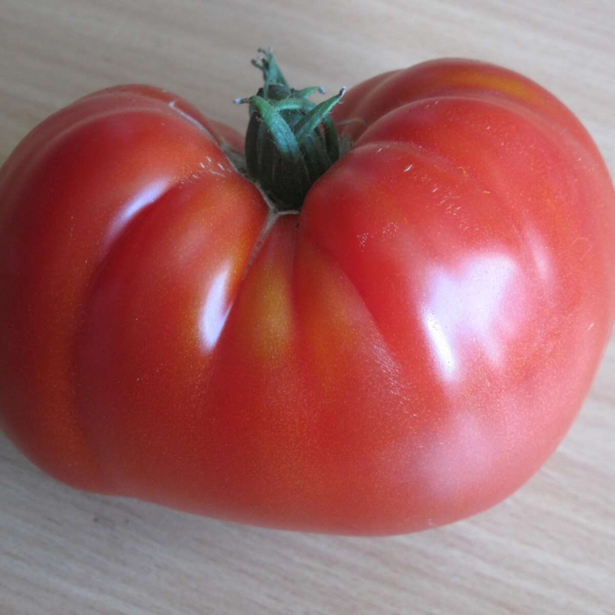 Tomato Hungarian Giant single fruit