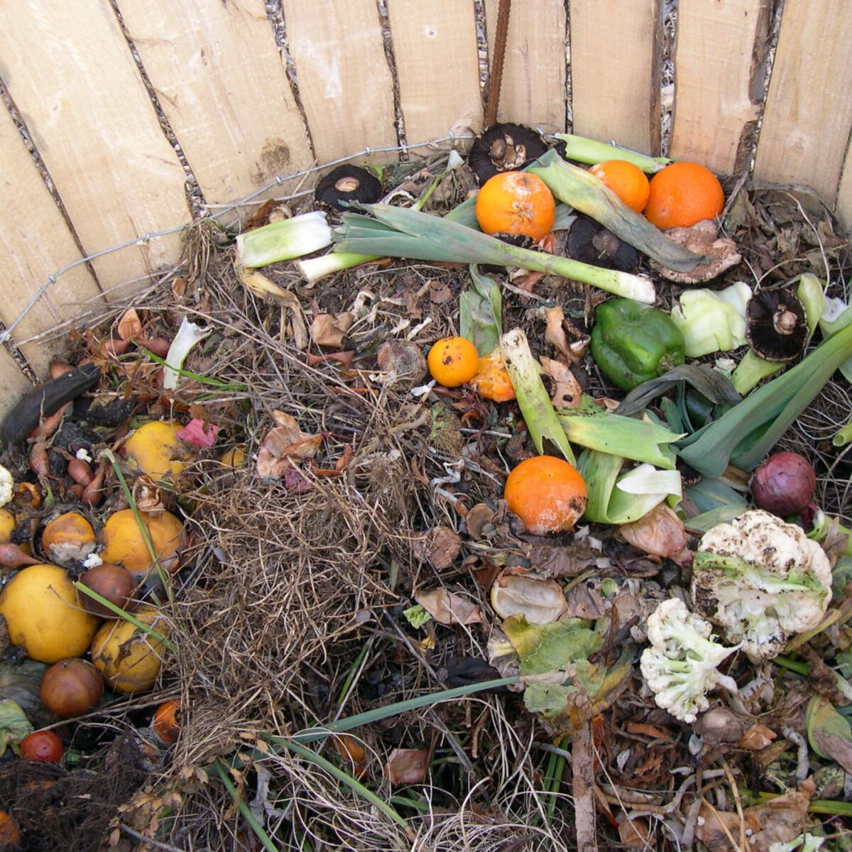 Compost bin at Ryton gardens