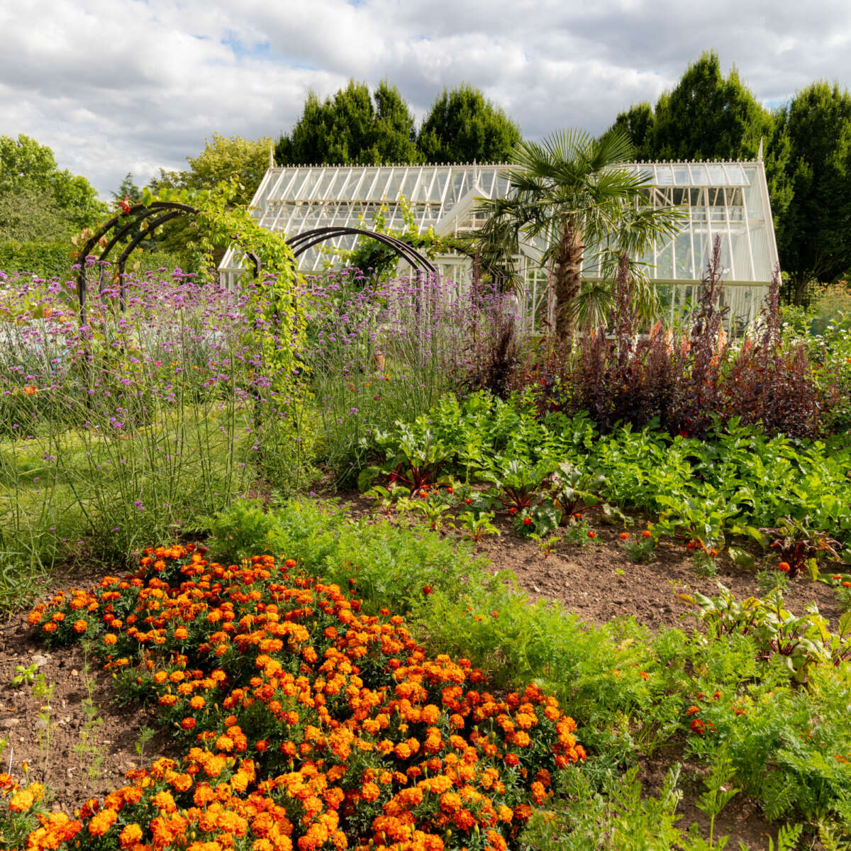 Garden beds at Ryton