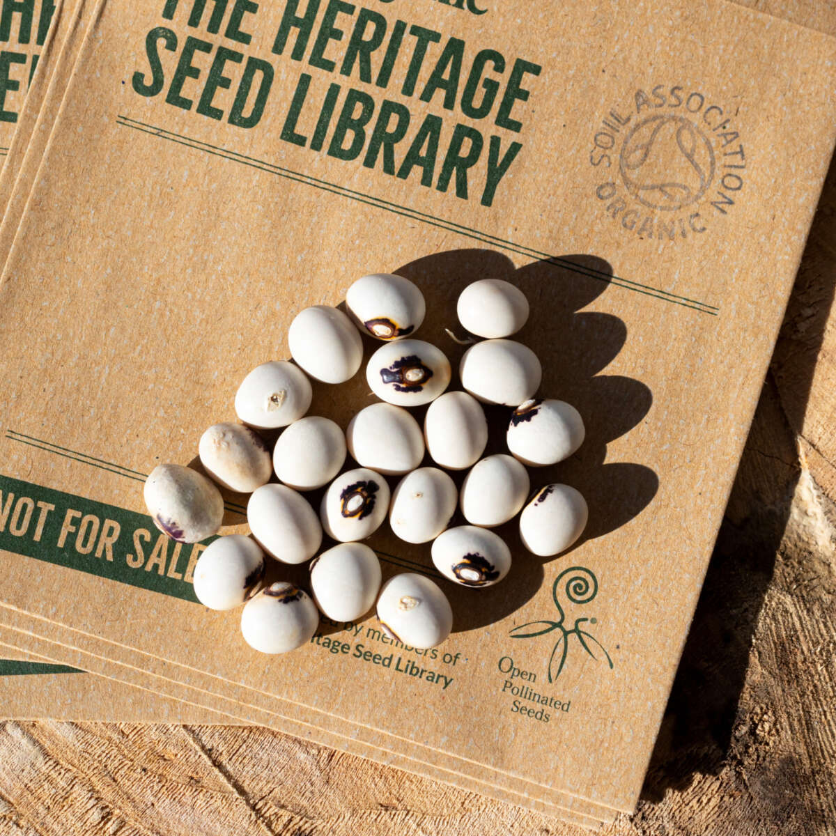 White climbing french beans with a unique black pattern, laying on top of Heritage Seed Library seed packets