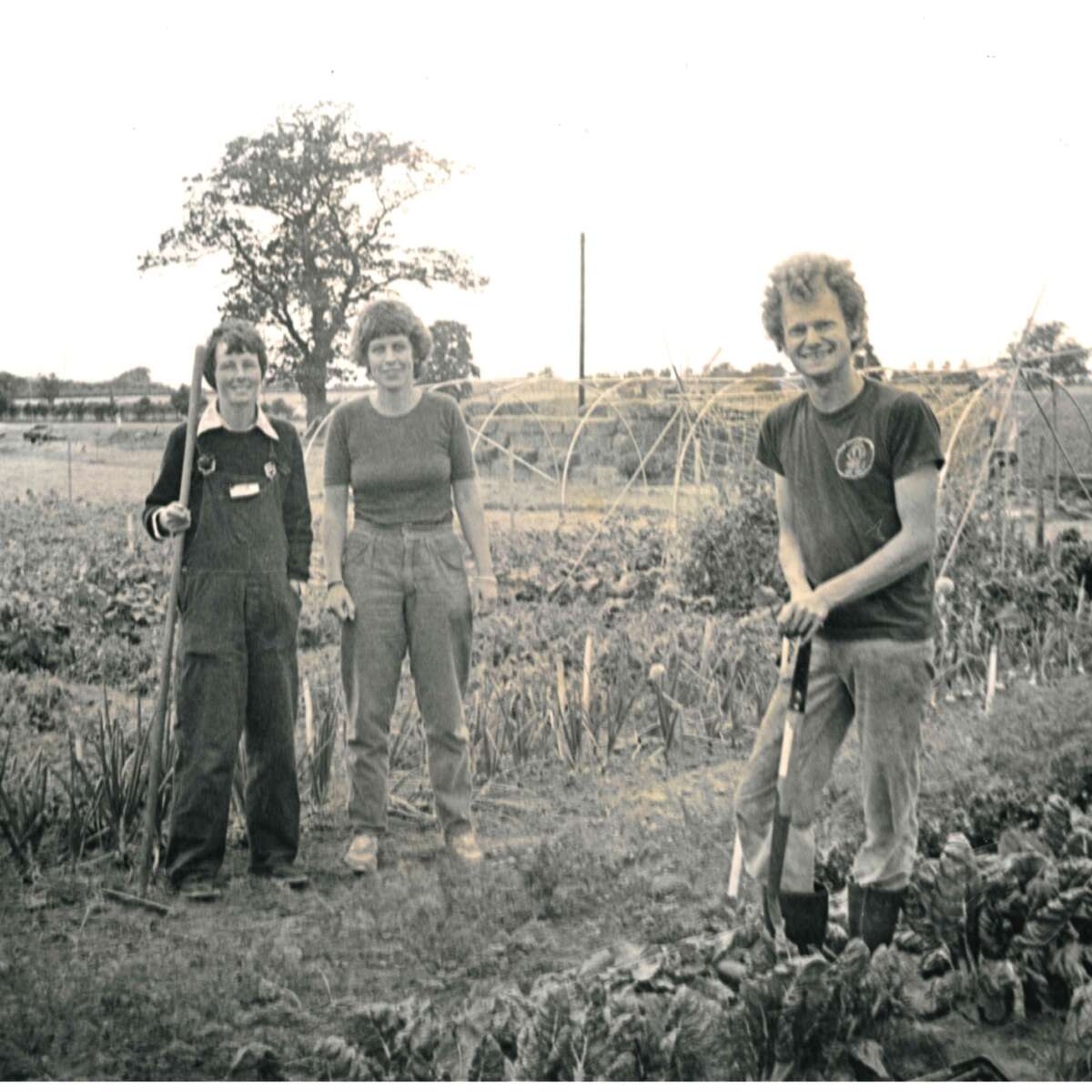 Gardeners Pauline, Sue and Steve at Ryton 1986