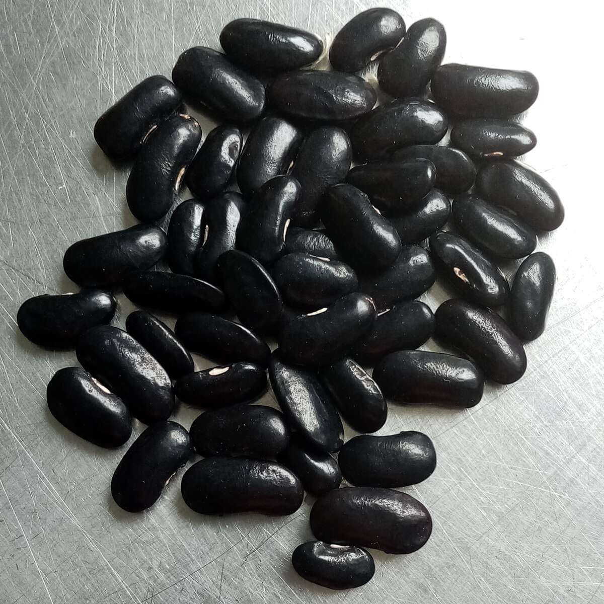 Black Runner Beans - Variety Meesha