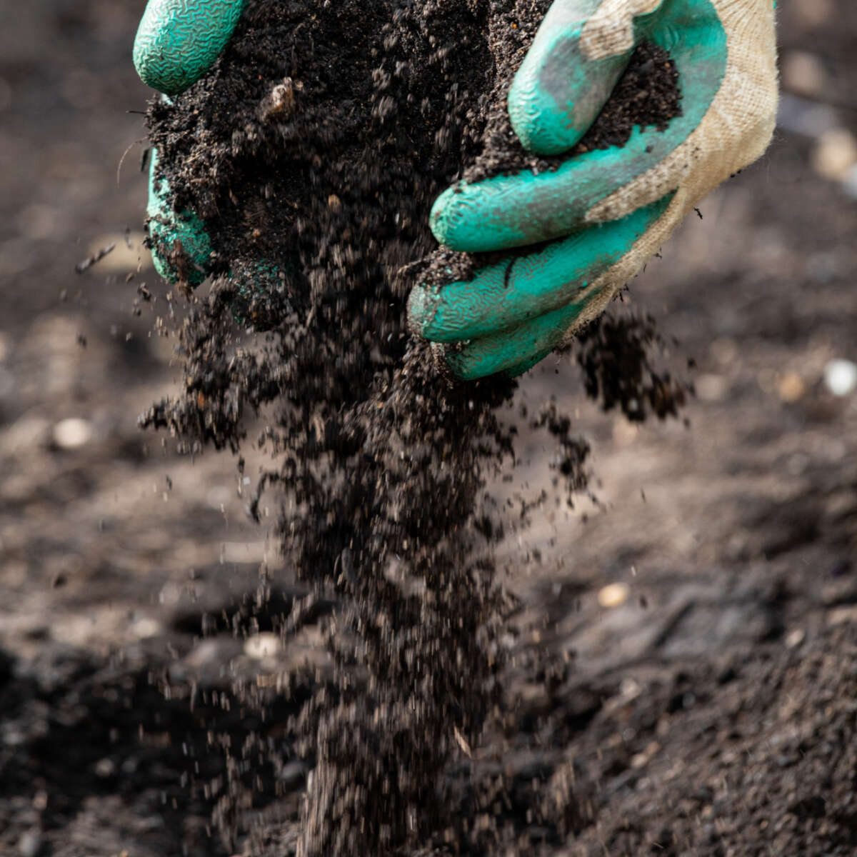 Hands with soil