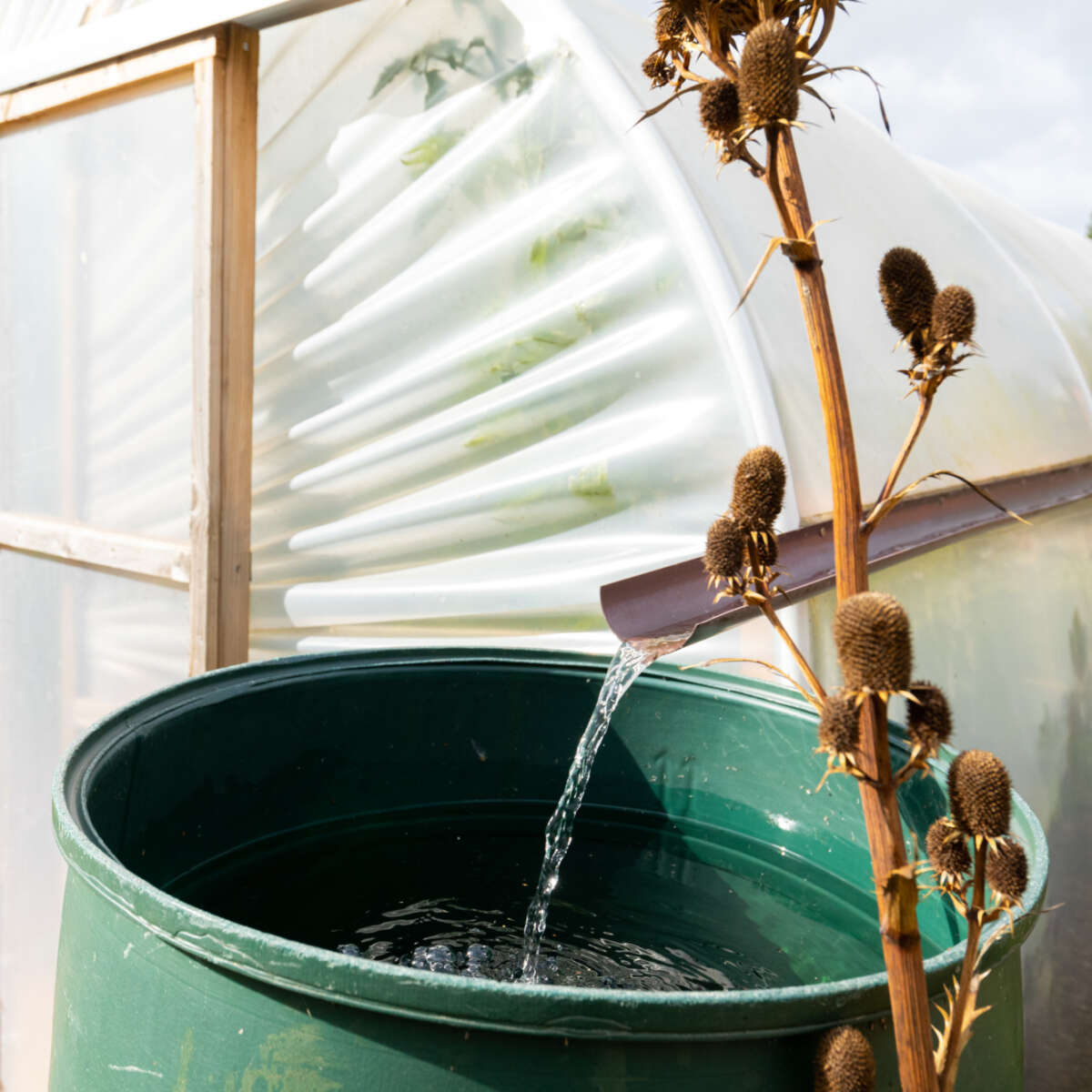 Saving water in the garden