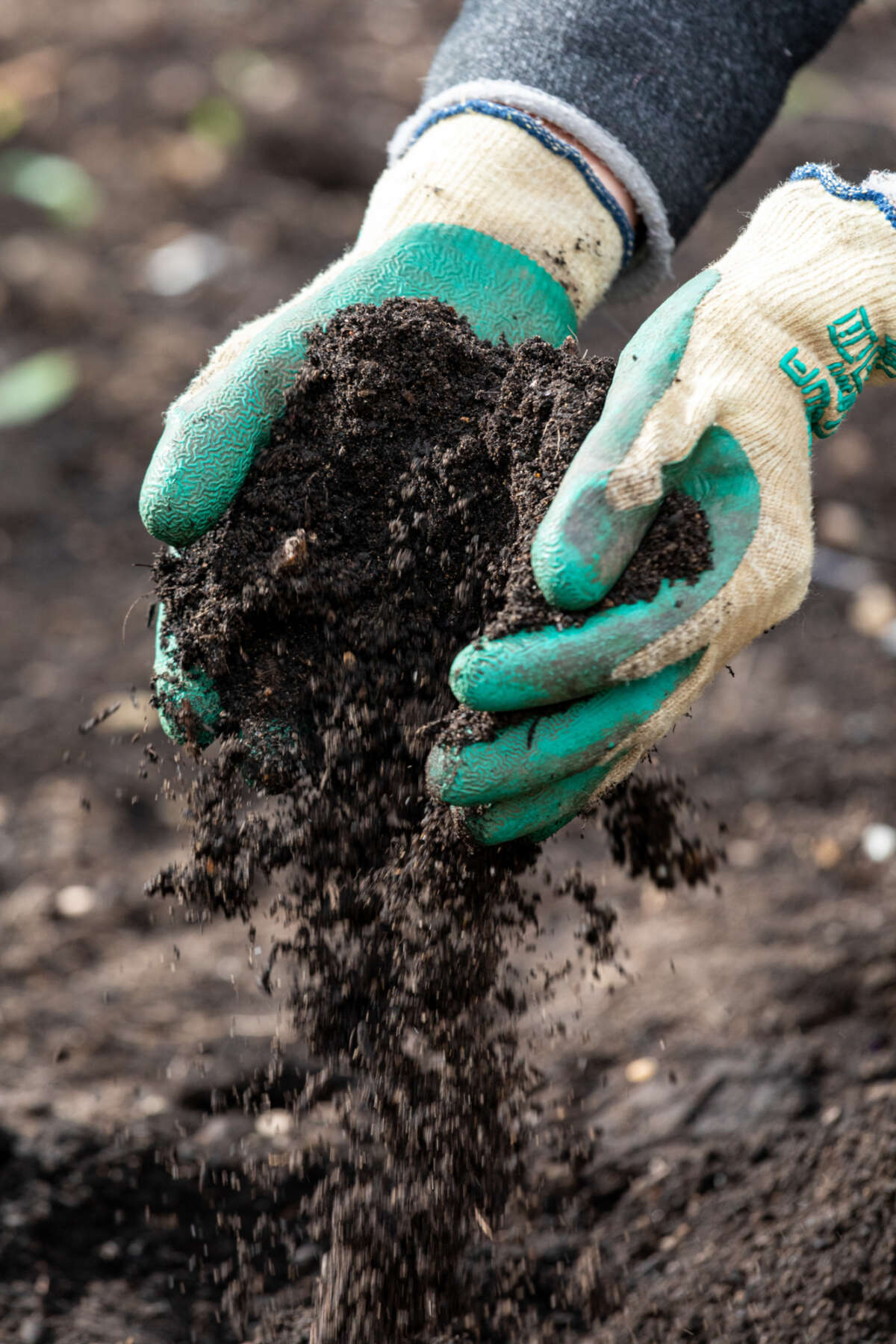 Garden Organic | Soil Information Pack