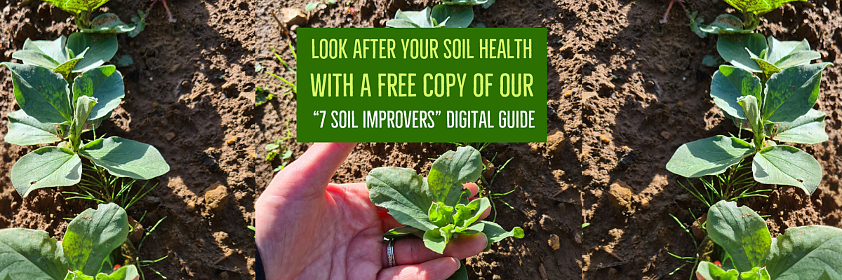 image reads: look after your soil health with a free copy of our 7 soil improvers digital guide