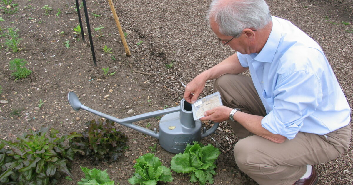 Garden Organic | Nematodes