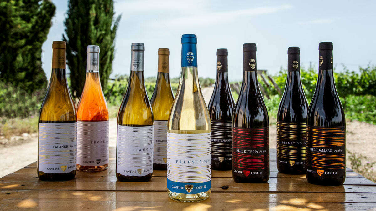 An Array of Vinceremos wines