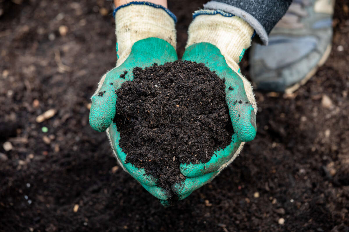 10 reasons to love your soil Garden Organic