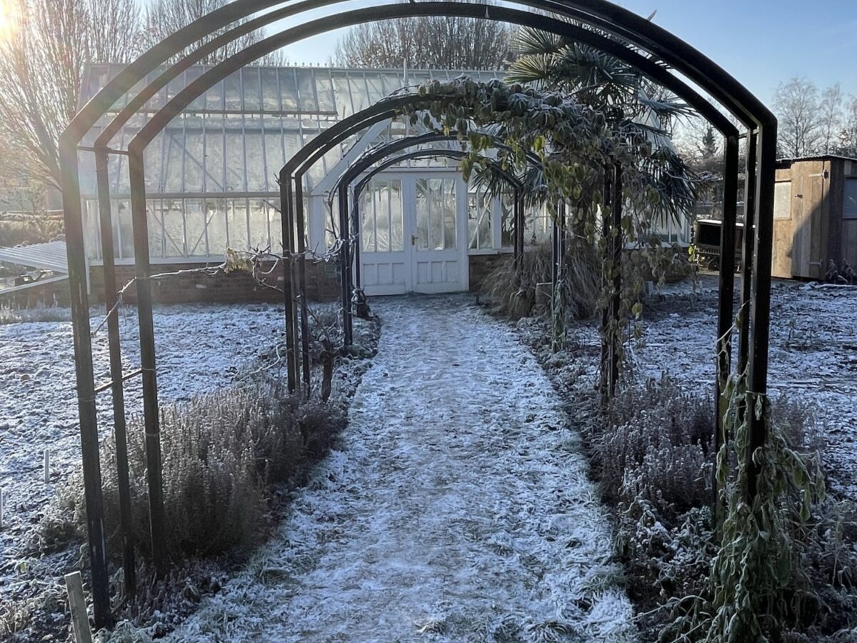 An archway in our organic demonstration garden, looking through to the Alitex glasshouse.