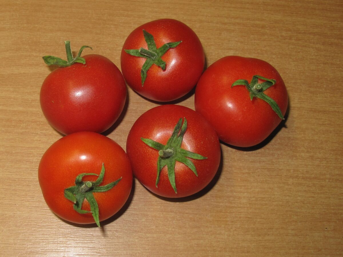 Tomato Belhommes Fortuna Potato Leaf