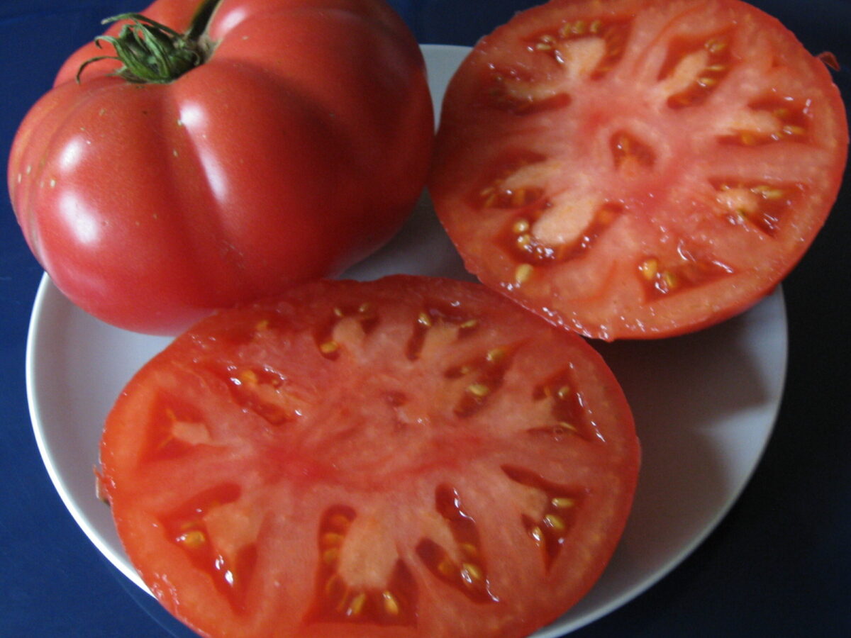 Large beefsteak tomato variety, mariannas peace, one whole and one cut in half showing the seeds, on a white plate with blue background