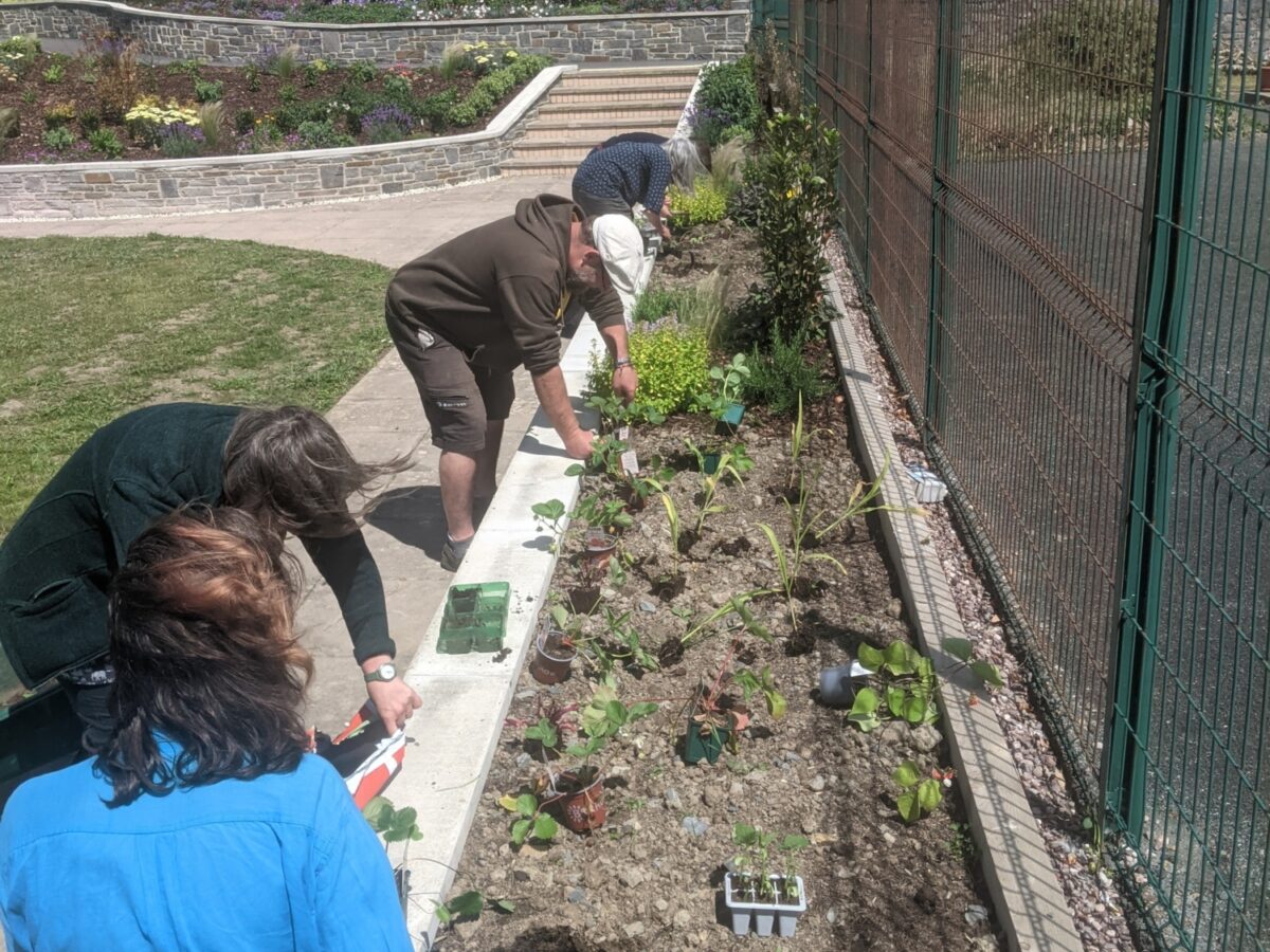 Gardeners at Master Gardener project