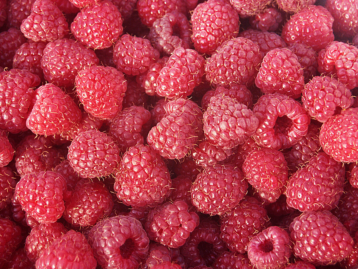Collection of raspberries