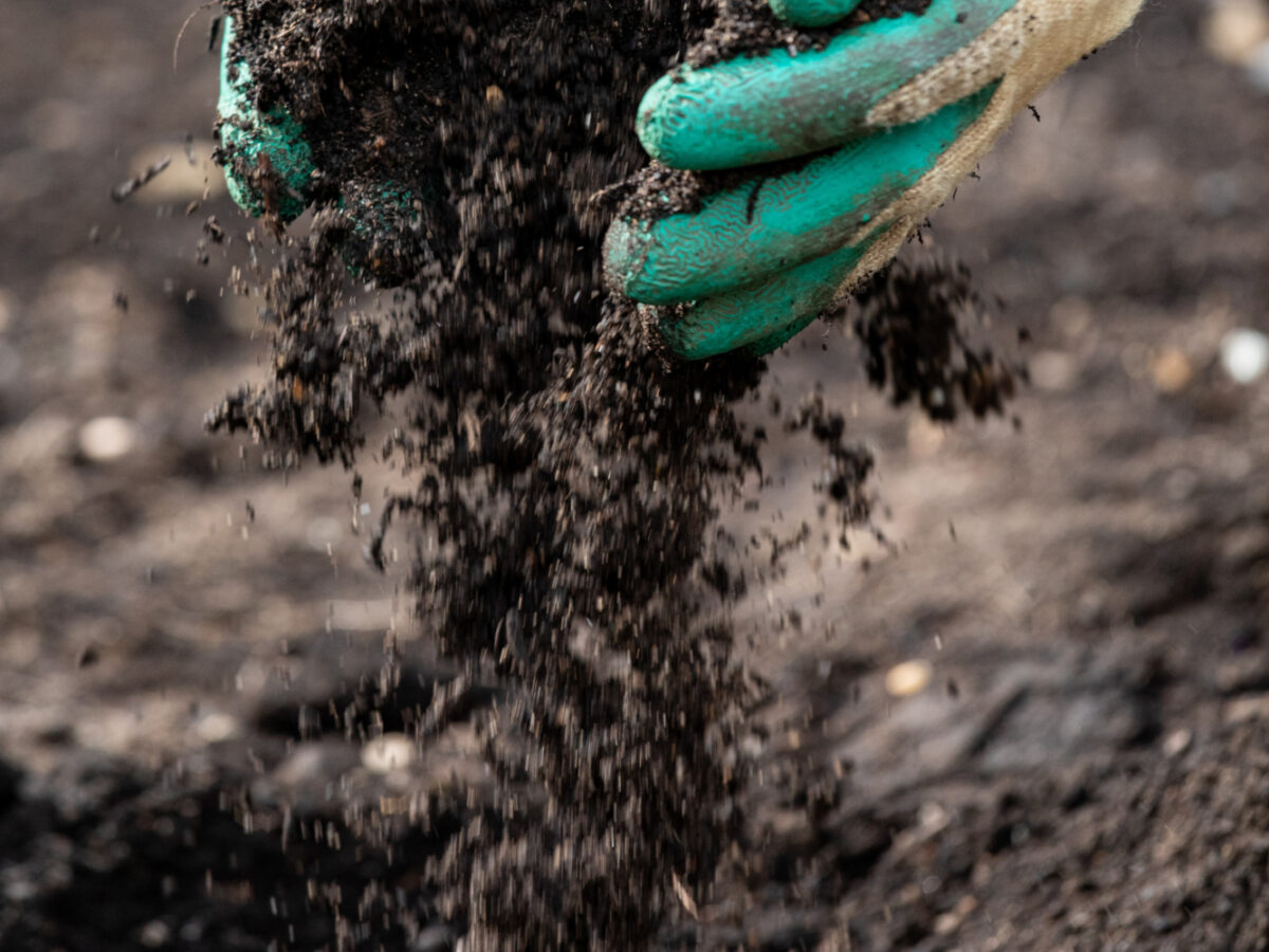 Hands with soil