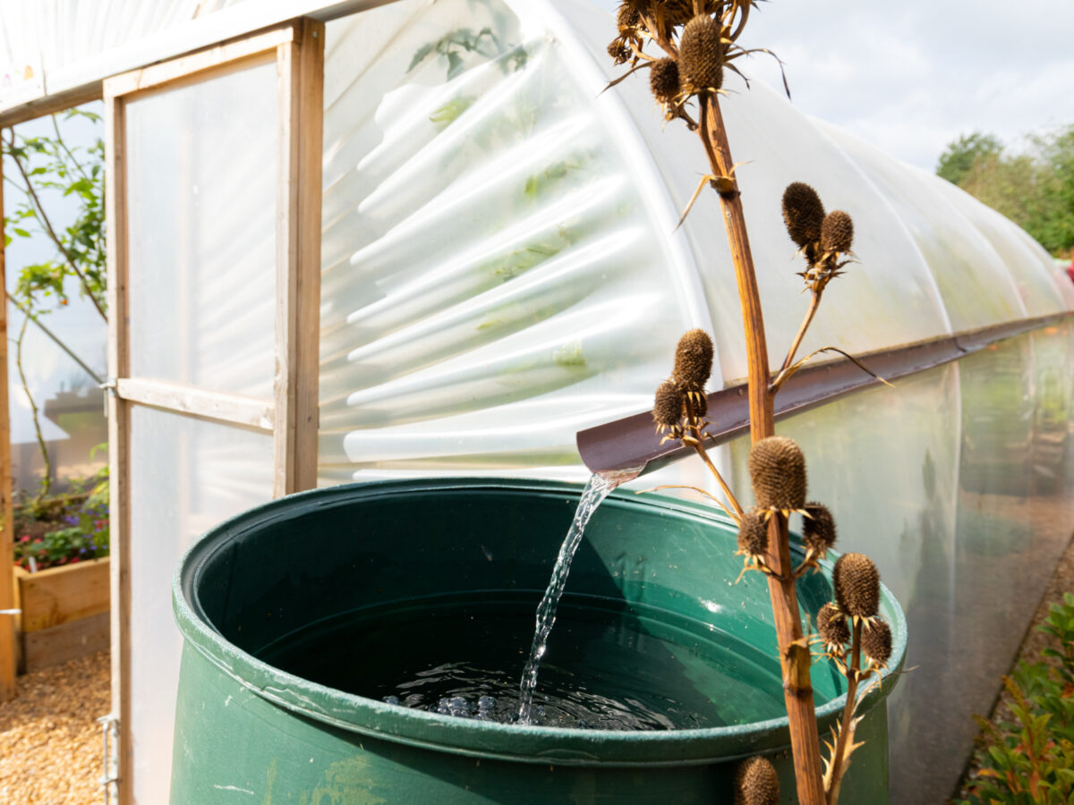 Saving water in the garden