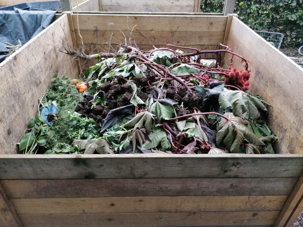 Wooden compost bins at Ryton gardens