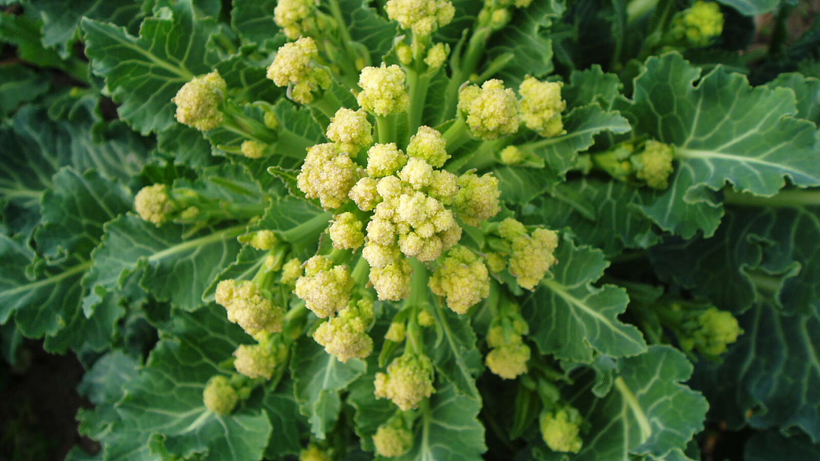 Alternative text should describe the visual content of the image.