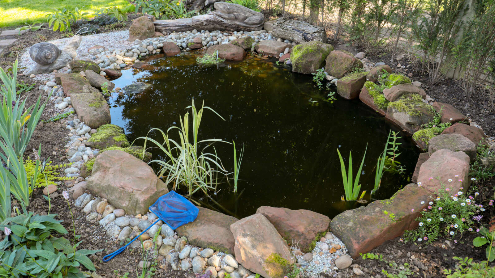 The wildlife pond in February