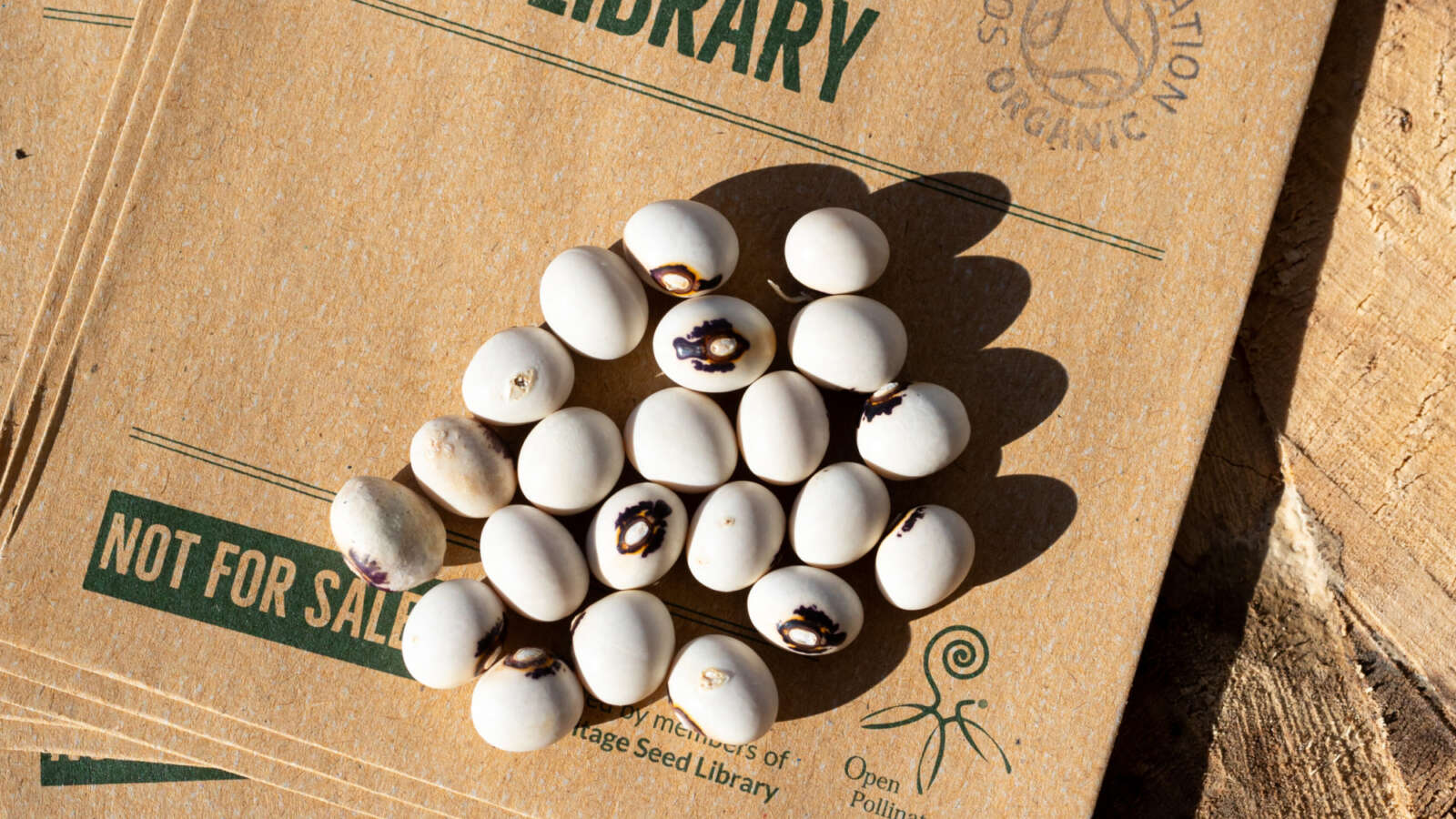 White climbing french beans with a unique black pattern, laying on top of Heritage Seed Library seed packets