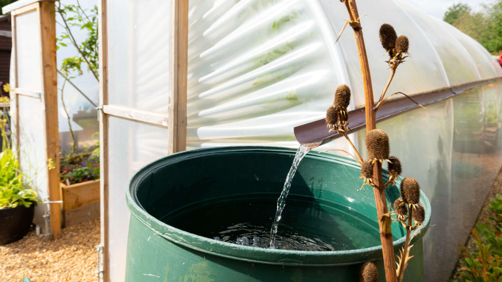 Saving water in the garden