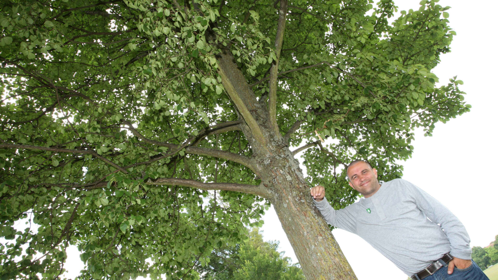 Chris Collins stands in front of a tree