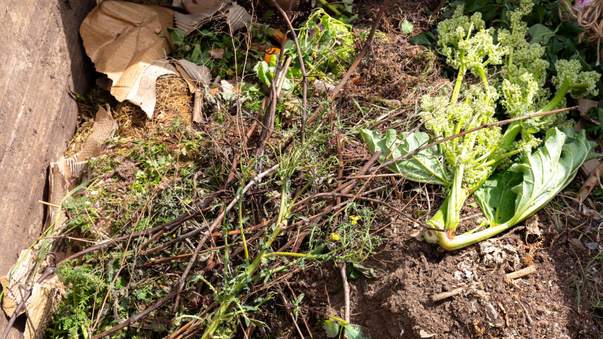 Various leaves and items in compost bin