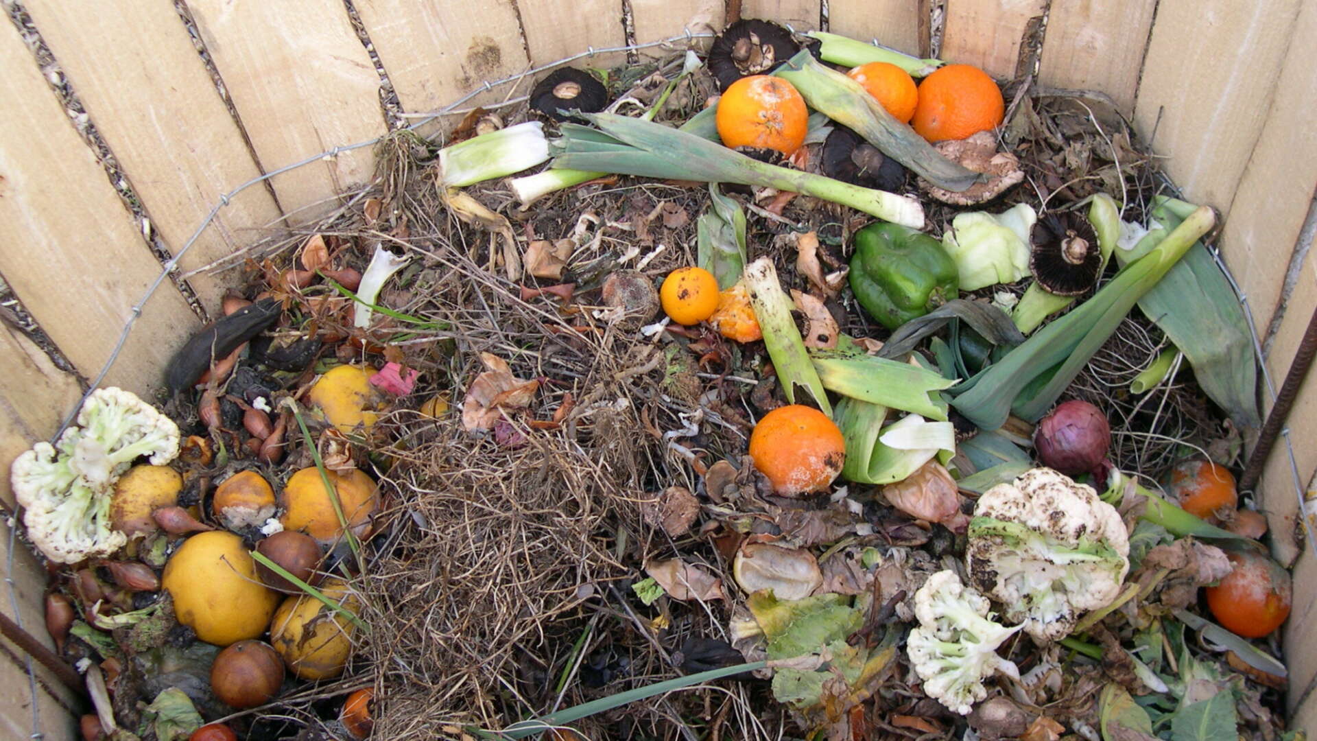 Are you composting your tea bags?