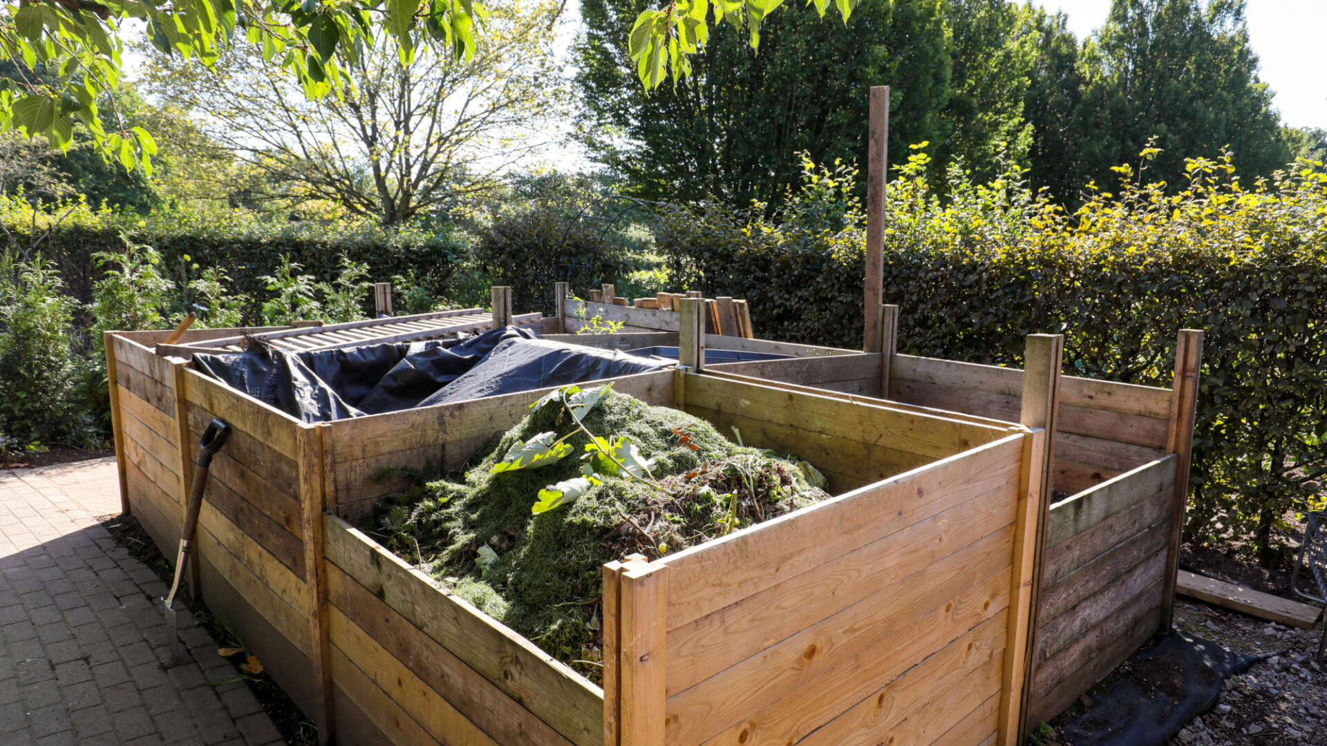 Full and covered compost bins