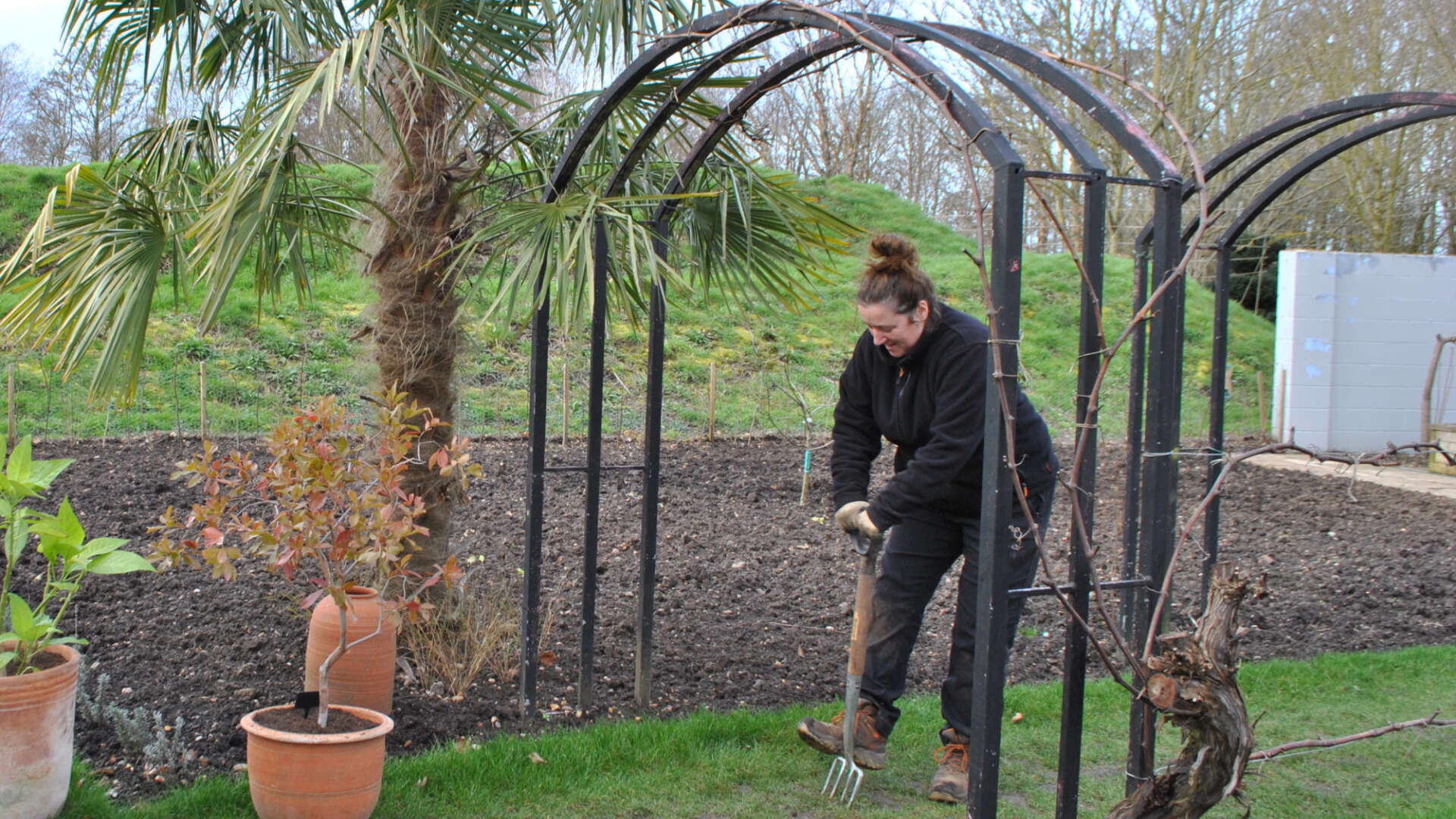 Emma aerating the lawn