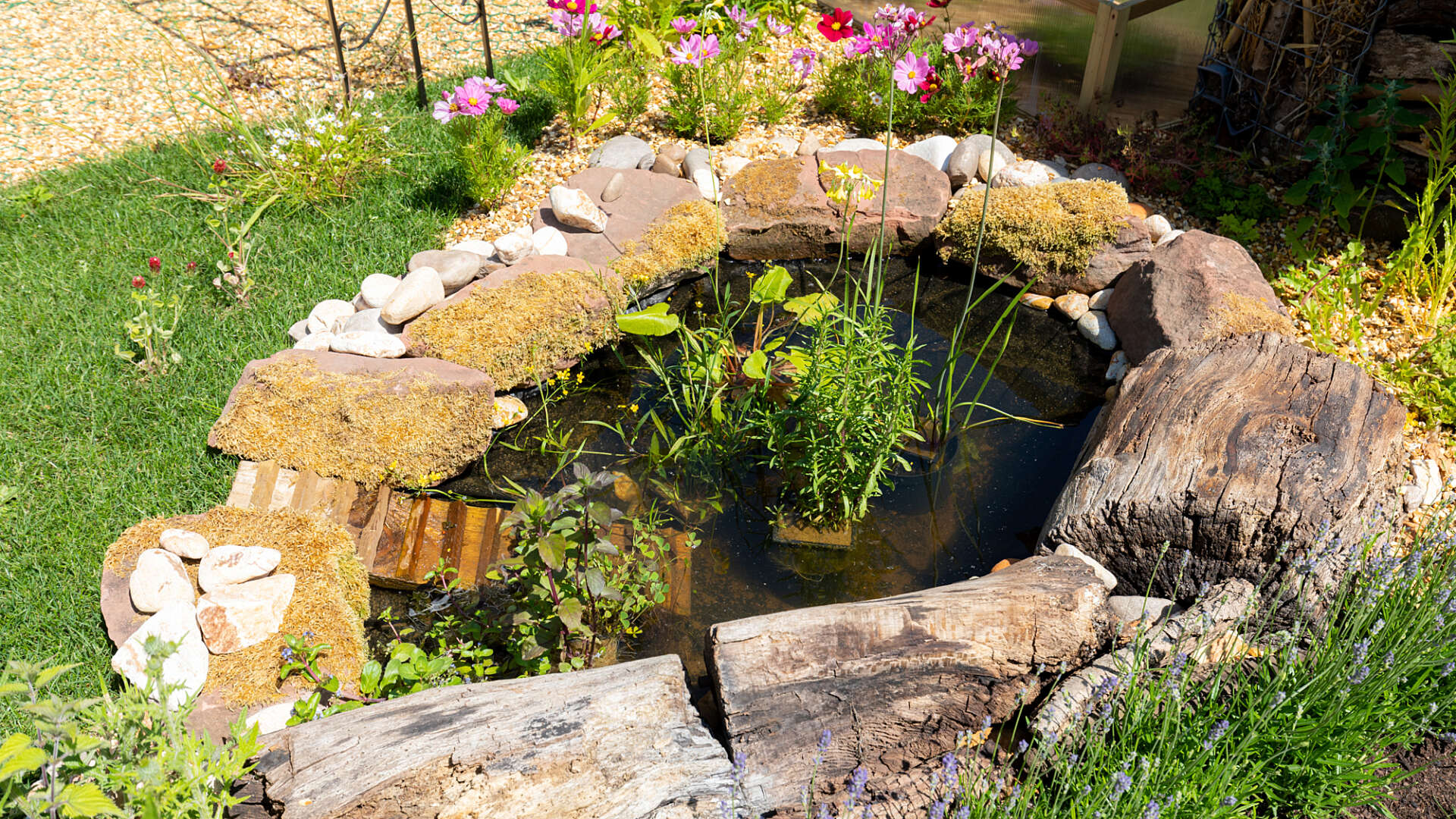 Giardino biologico | Creazione di uno stagno