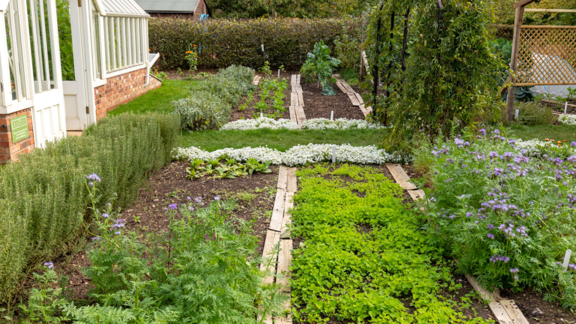 Veg beds at Ryton gardens