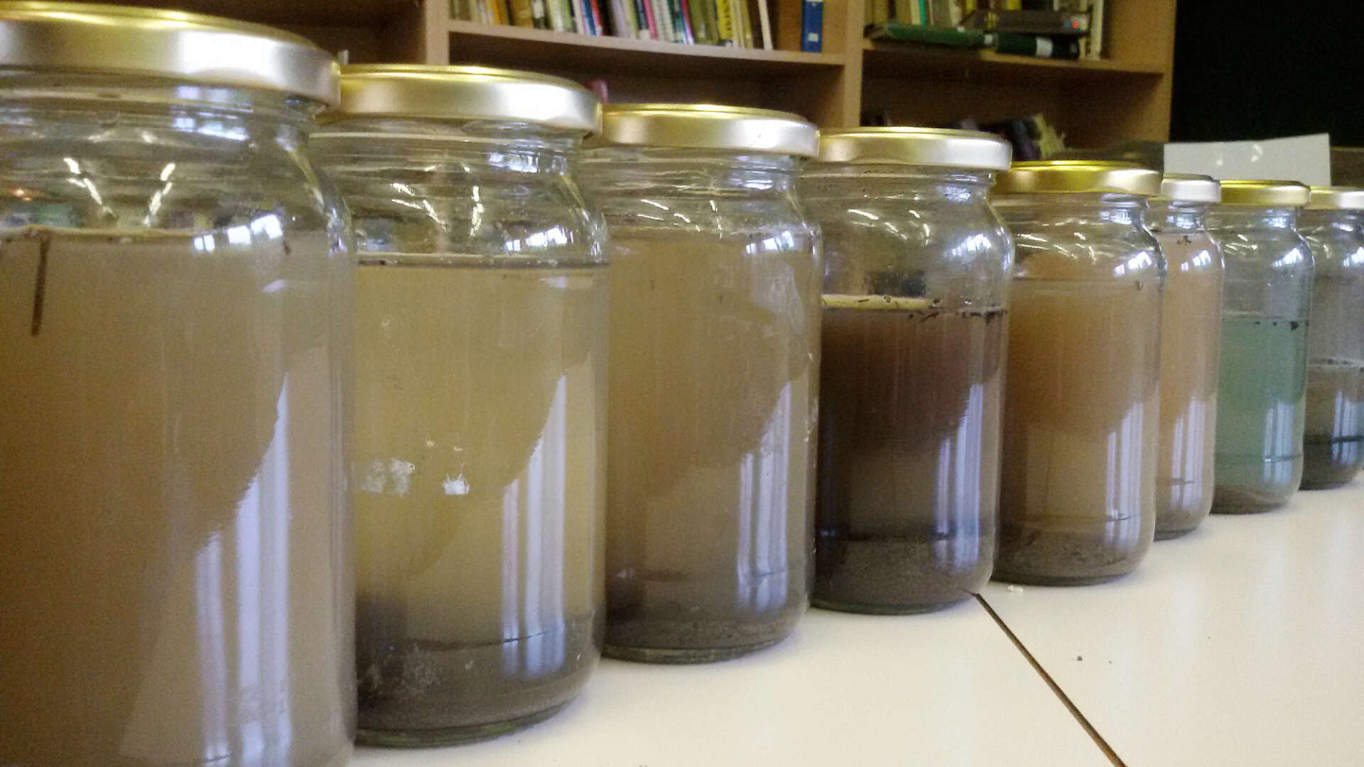 Jars of soil for members experiment
