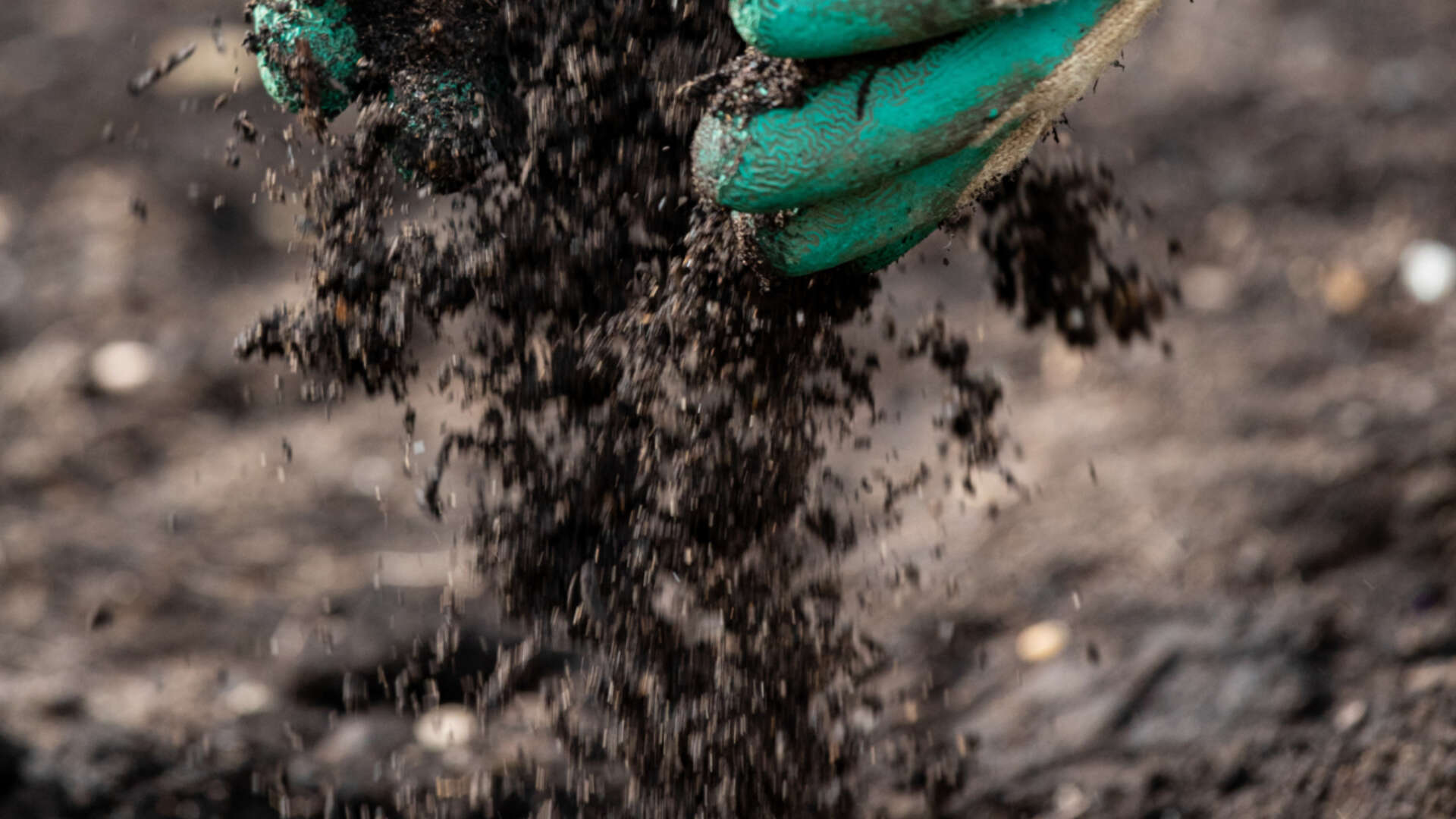 Hands with soil