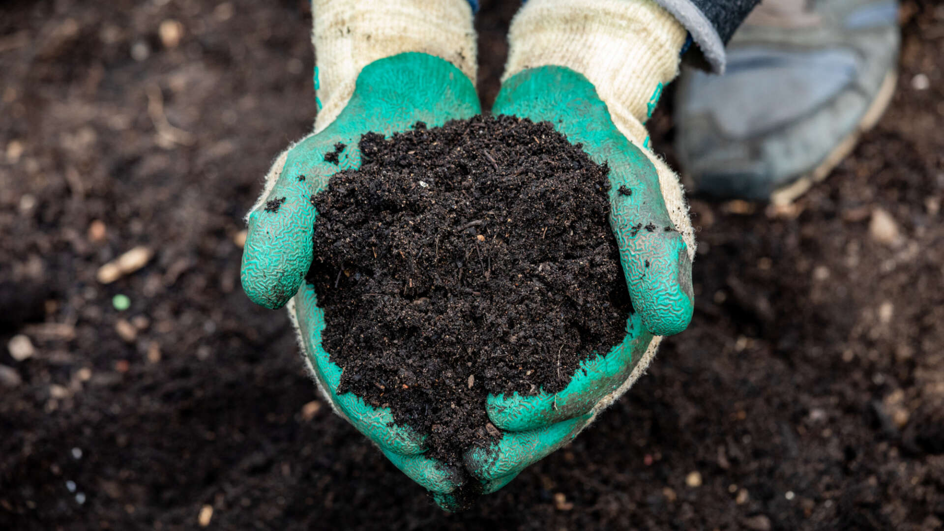 Soil information pack