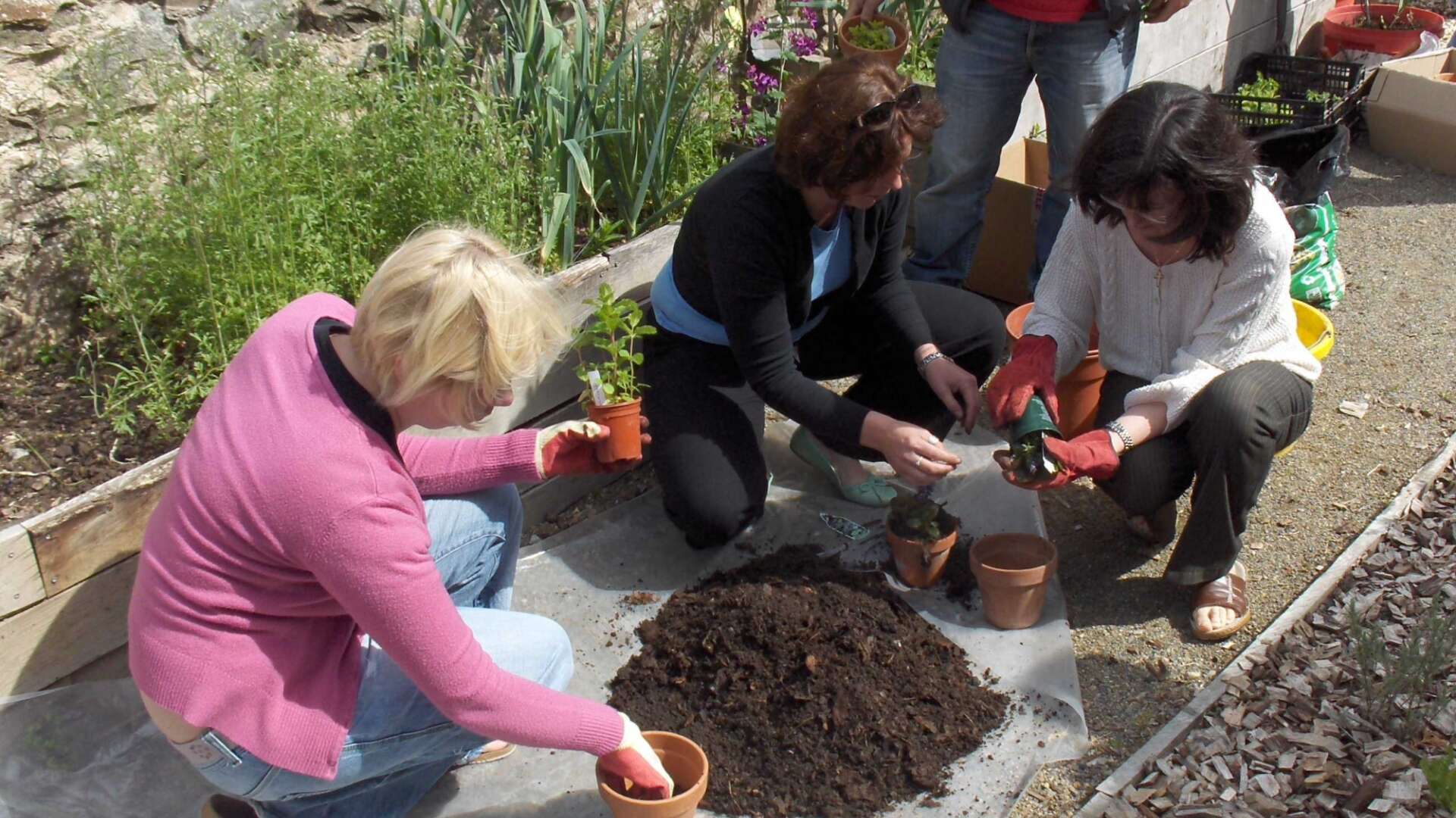 Master composters potting plants