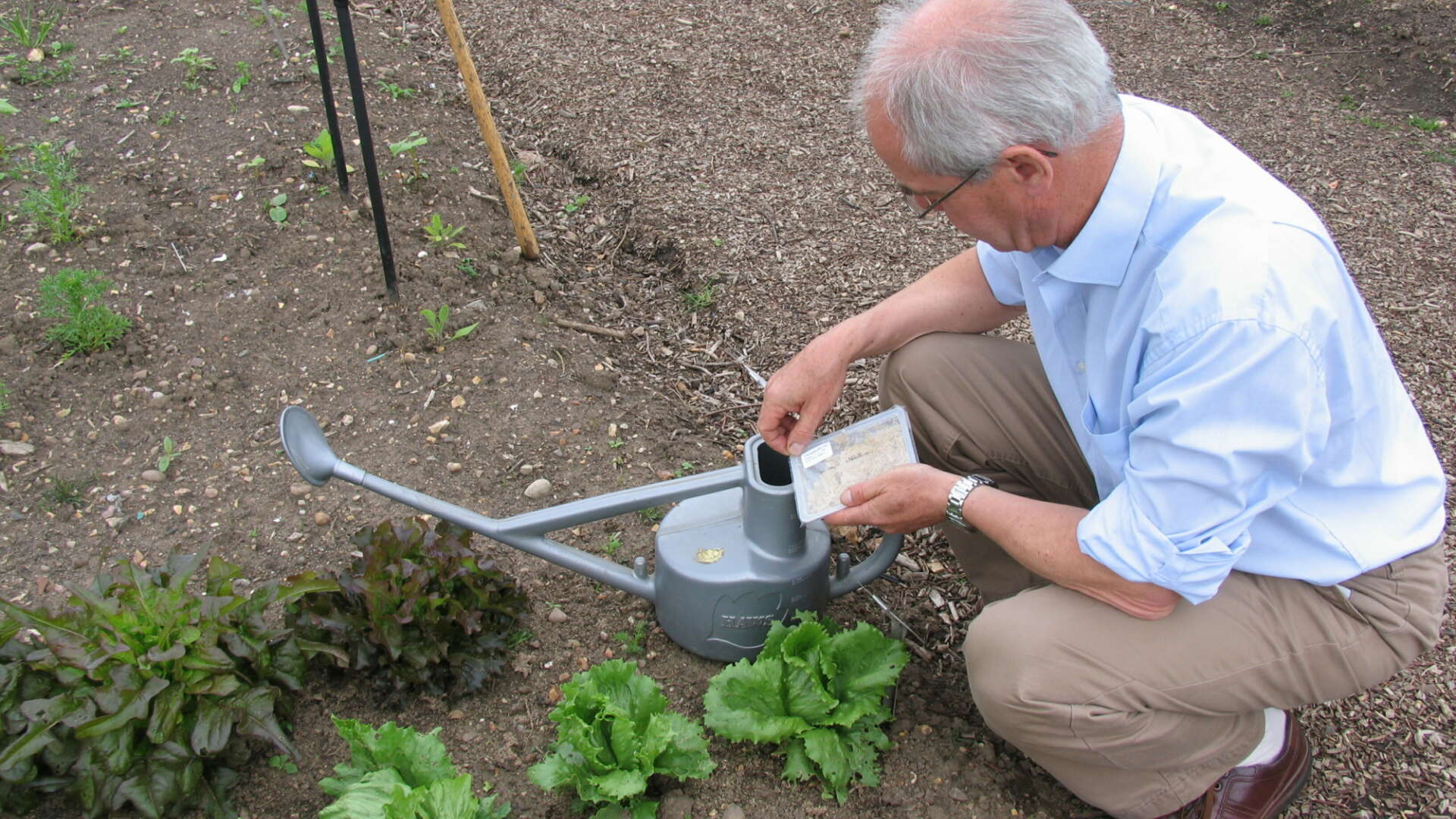 Watering with nematodes