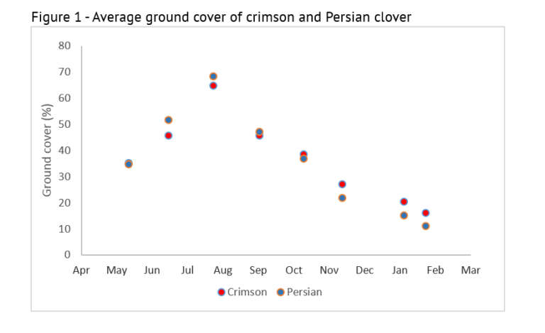 Persian clover experiment, average ground cover graph