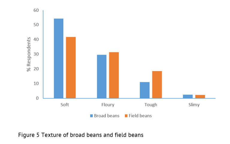 Graph showing texture of field beans