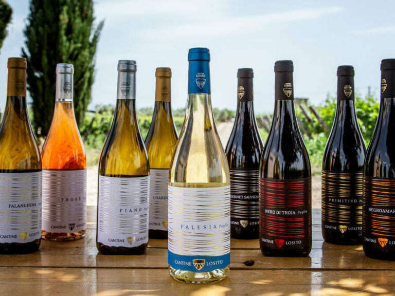 An Array of Vinceremos wines