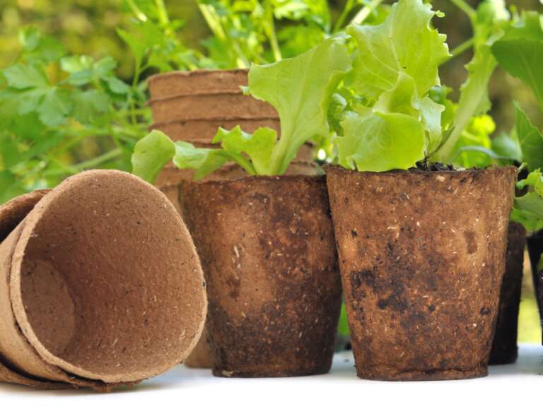 Recyclable plant pots