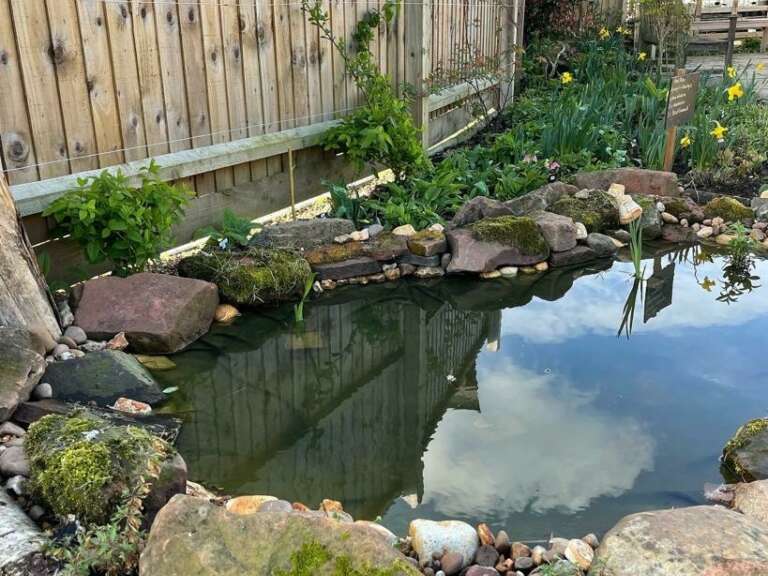 New pond at Ryton gardens