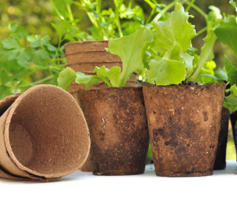 Recyclable plant pots