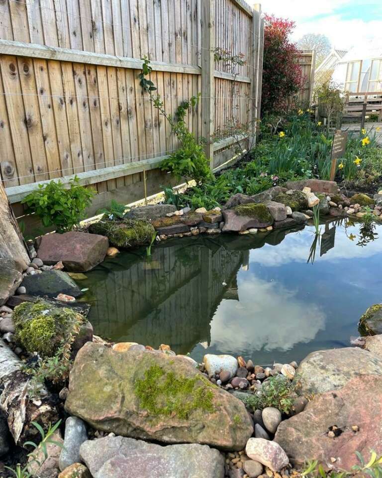 New pond at Ryton gardens