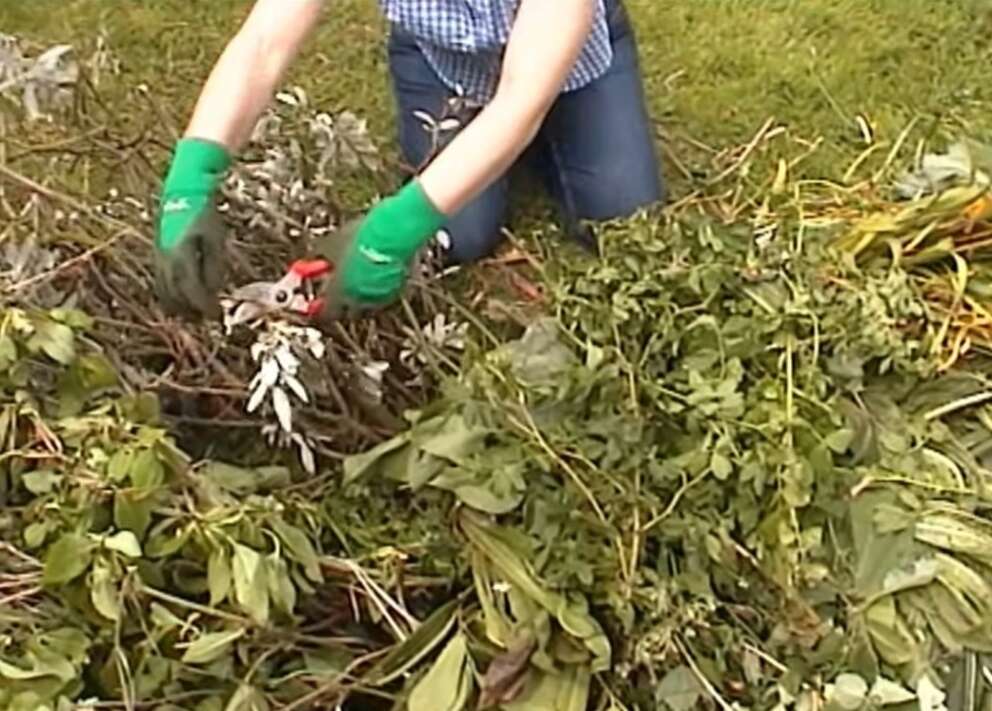 Composting video