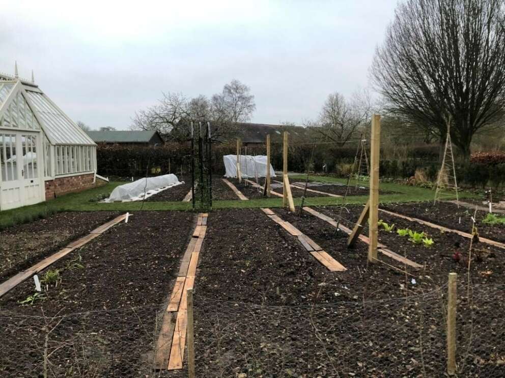 No dig vegetable bed at Ryton Organic Gardens